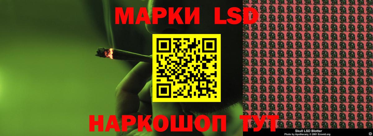 ТГК Домодедово