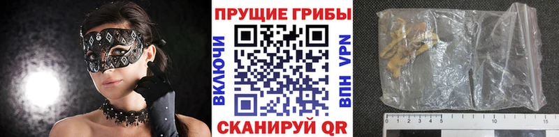 Псилоцибиновые грибы прущие грибы Домодедово