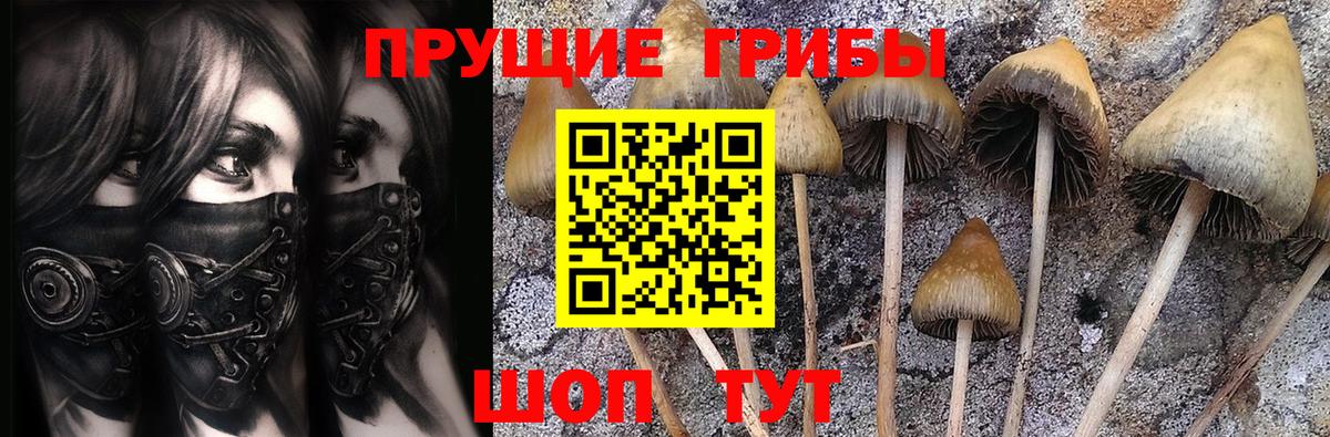 Псилоцибиновые грибы GOLDEN TEACHER  Вход с VPN  Домодедово 