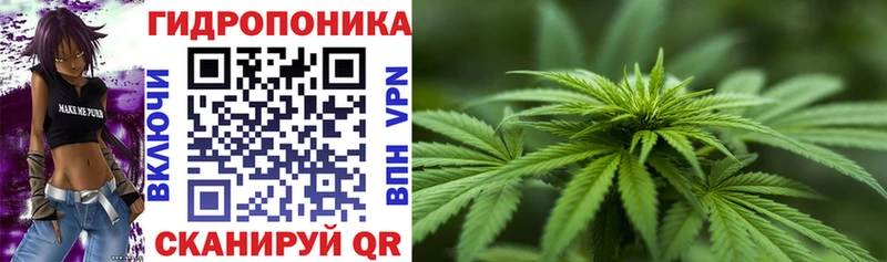 Бошки Шишки планчик цены Домодедово